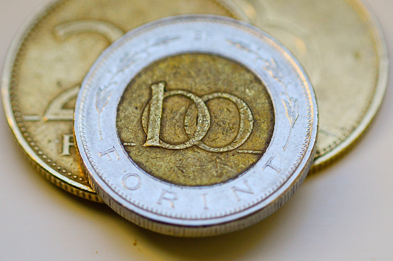 Leitzinsanhebungszyklus abgeschlossen / End of interest rate rise
