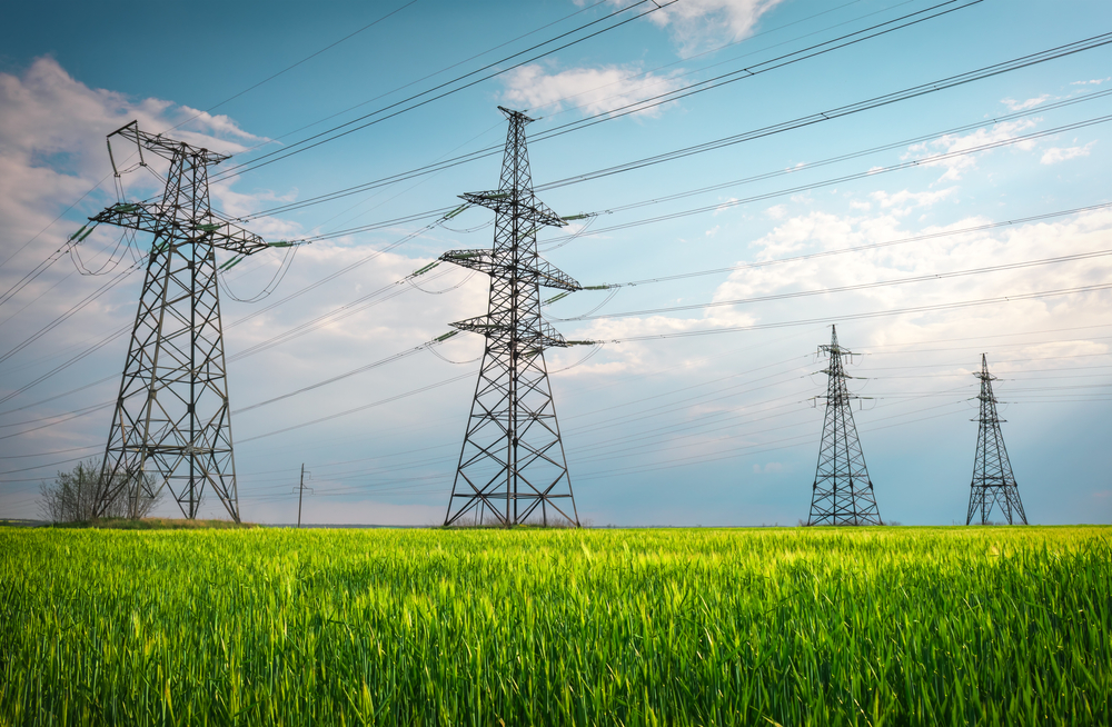 Forest-Vill Kft. - Rekordumsatz in der Elektrizitätswirtschaft / Forest-Vill Kft. - Record revenue in the energy sector