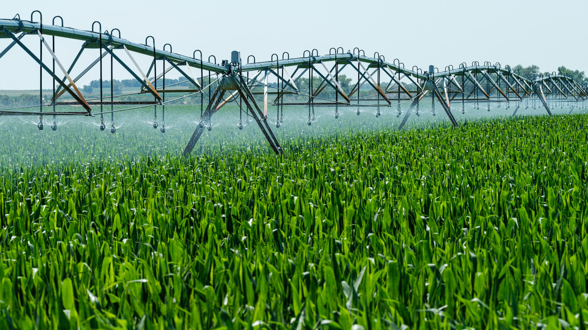 Talentis Agro Zrt. - Bewässerungsanlage in Milliardenhöhe / Talentis Agro Zrt - Irrigation system worth billions