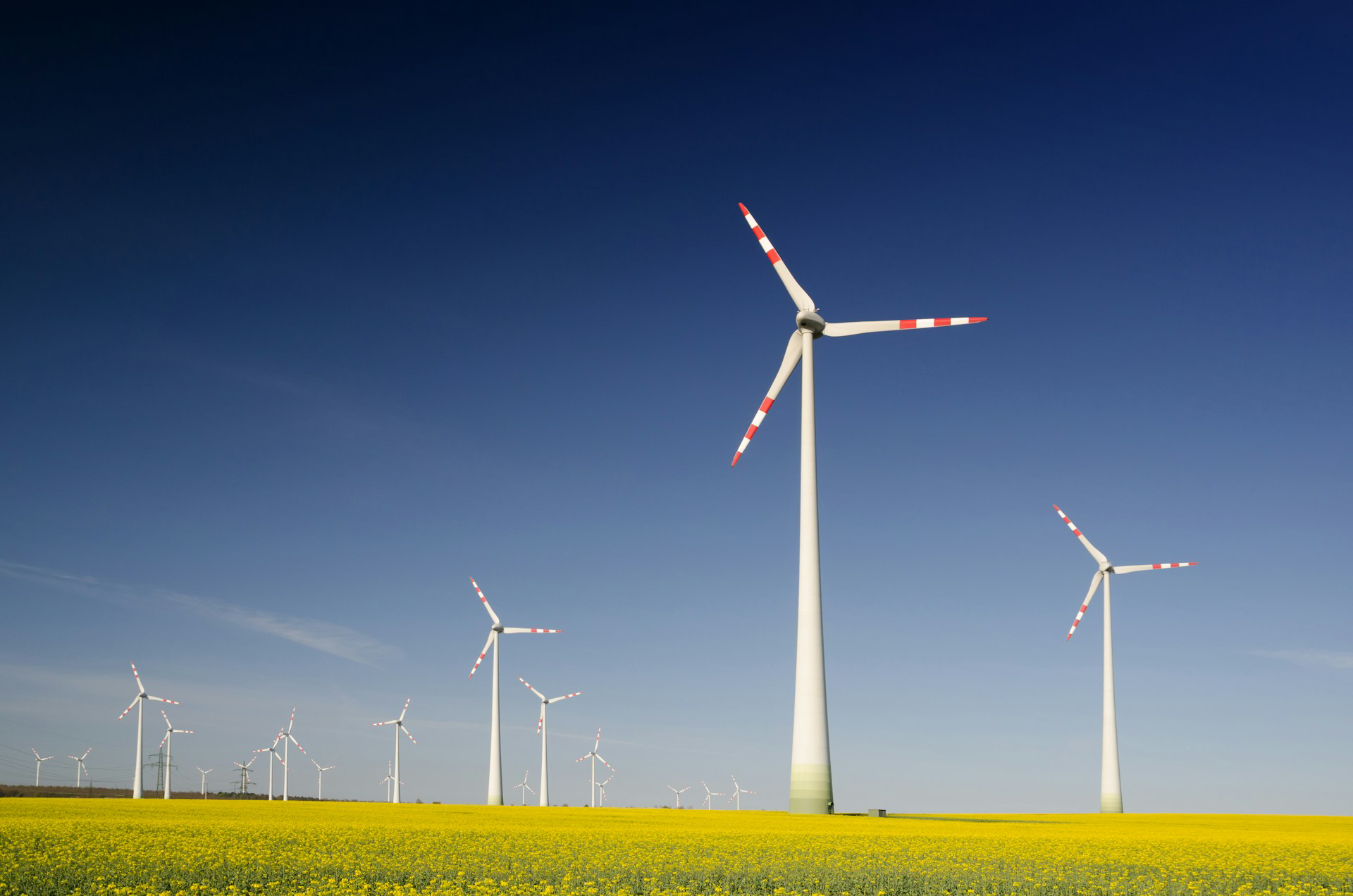Green Energy Investhor Zrt. - Gigantischer Windpark / Green Energy Investhor Zrt. - Huge wind farm